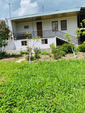 Syune House